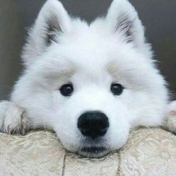 Meet your Posher, Loriandjim - Picture 1 of 1